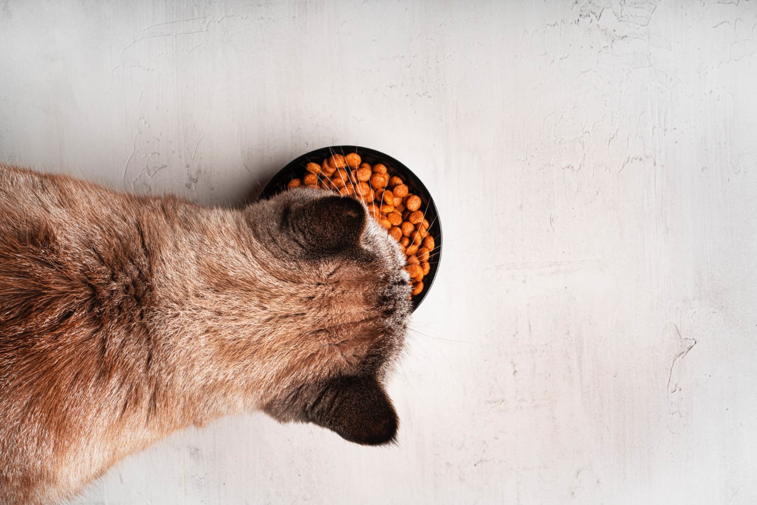 I M G 20250218 W A0046