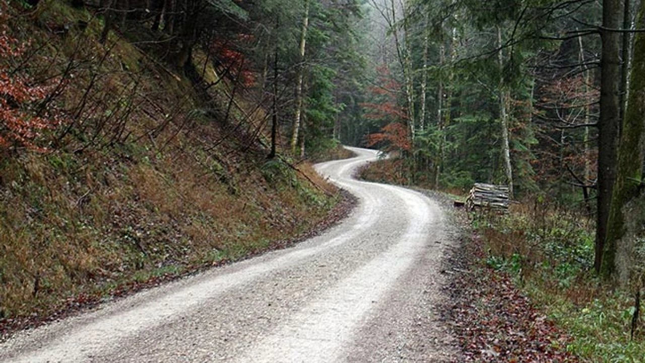 Yeni Orman Yolu Yapım işi