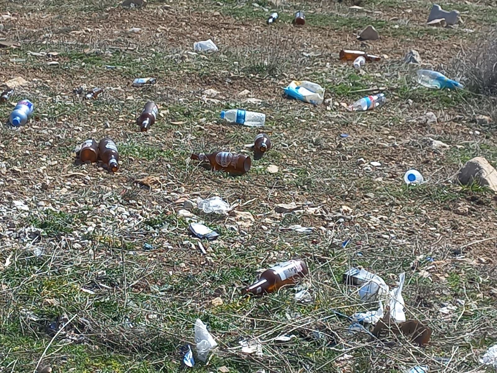 I M G 20250421 W A0009