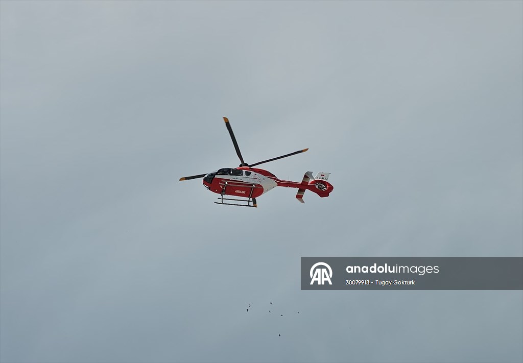 20250525 2 69215097 113394867 Preview