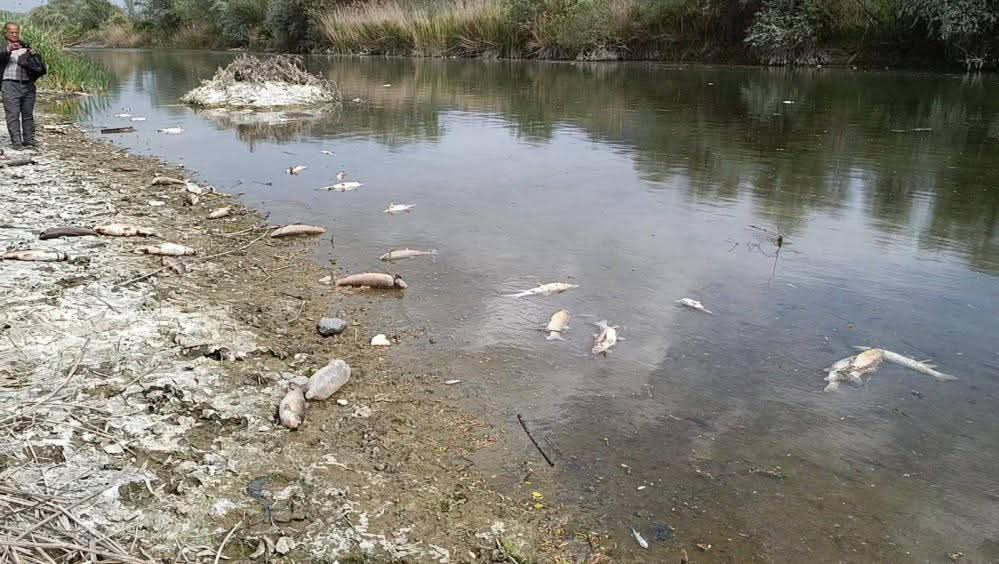 F B I M G 1746973354267