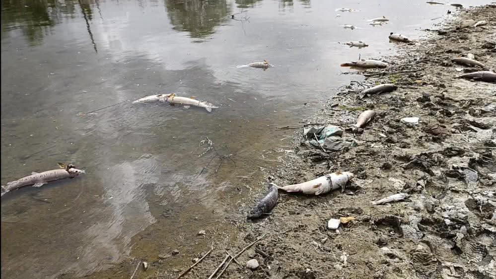 F B I M G 1746973361460