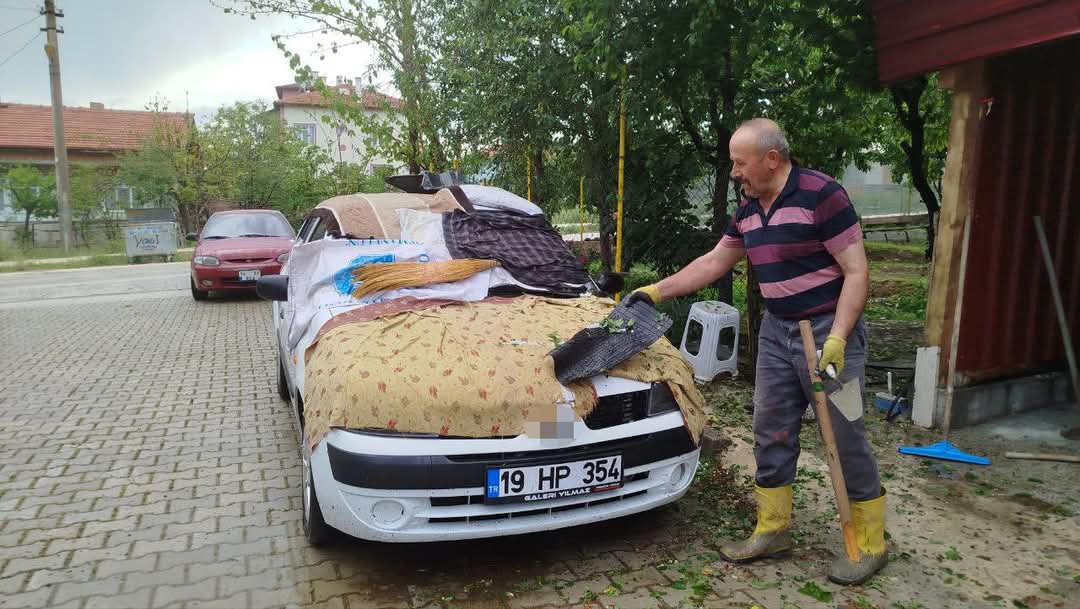 F B I M G 1746990011062