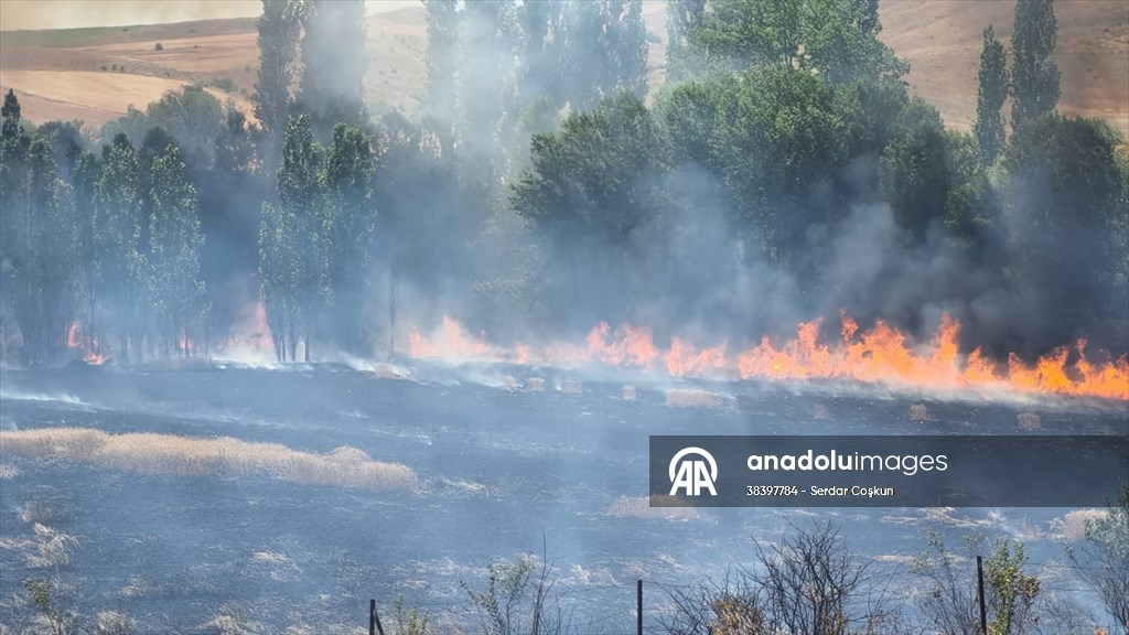 20250626 2 69696966 114509057 Preview