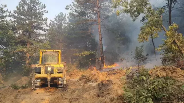 Bilecik Teki Yangindan Yurek Burkan Goruntuler 18798861 2825 M