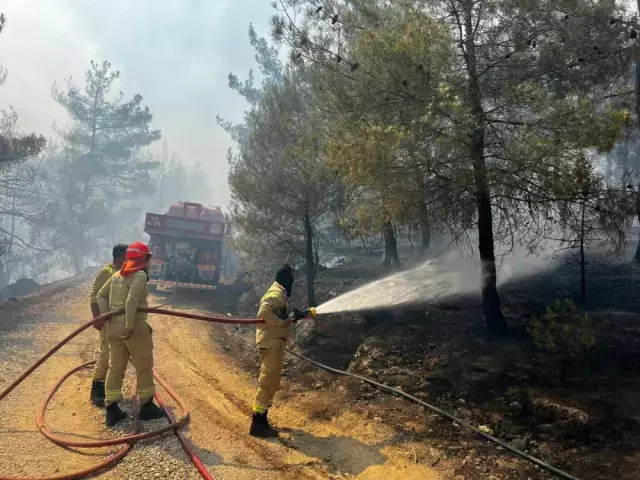 Bilecik Teki Yangindan Yurek Burkan Goruntuler 18798861 4460 M