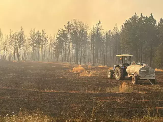 Bilecik Teki Yangindan Yurek Burkan Goruntuler 18798861 8158 M