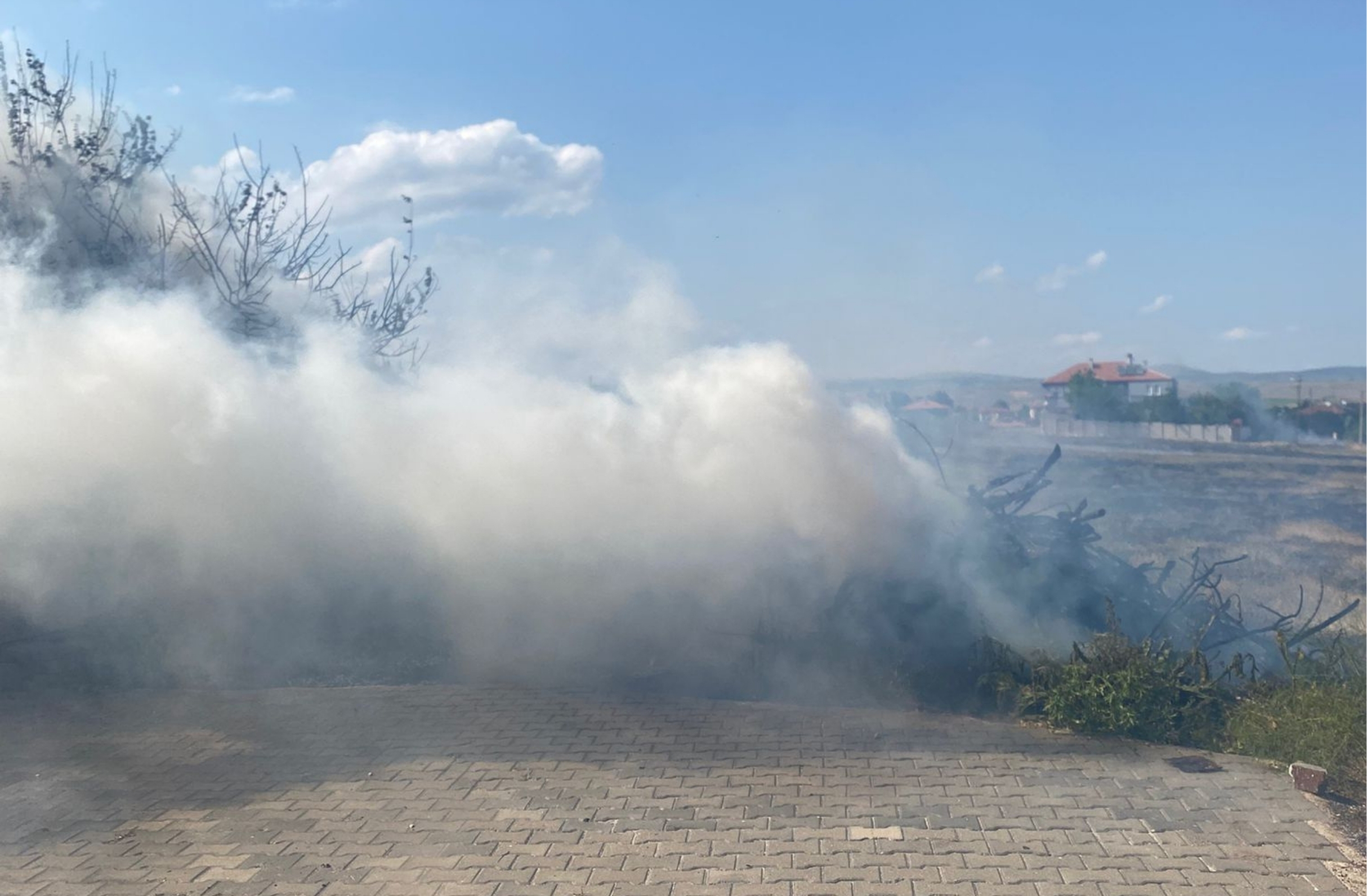 Dıımann Google Ers 1749912275