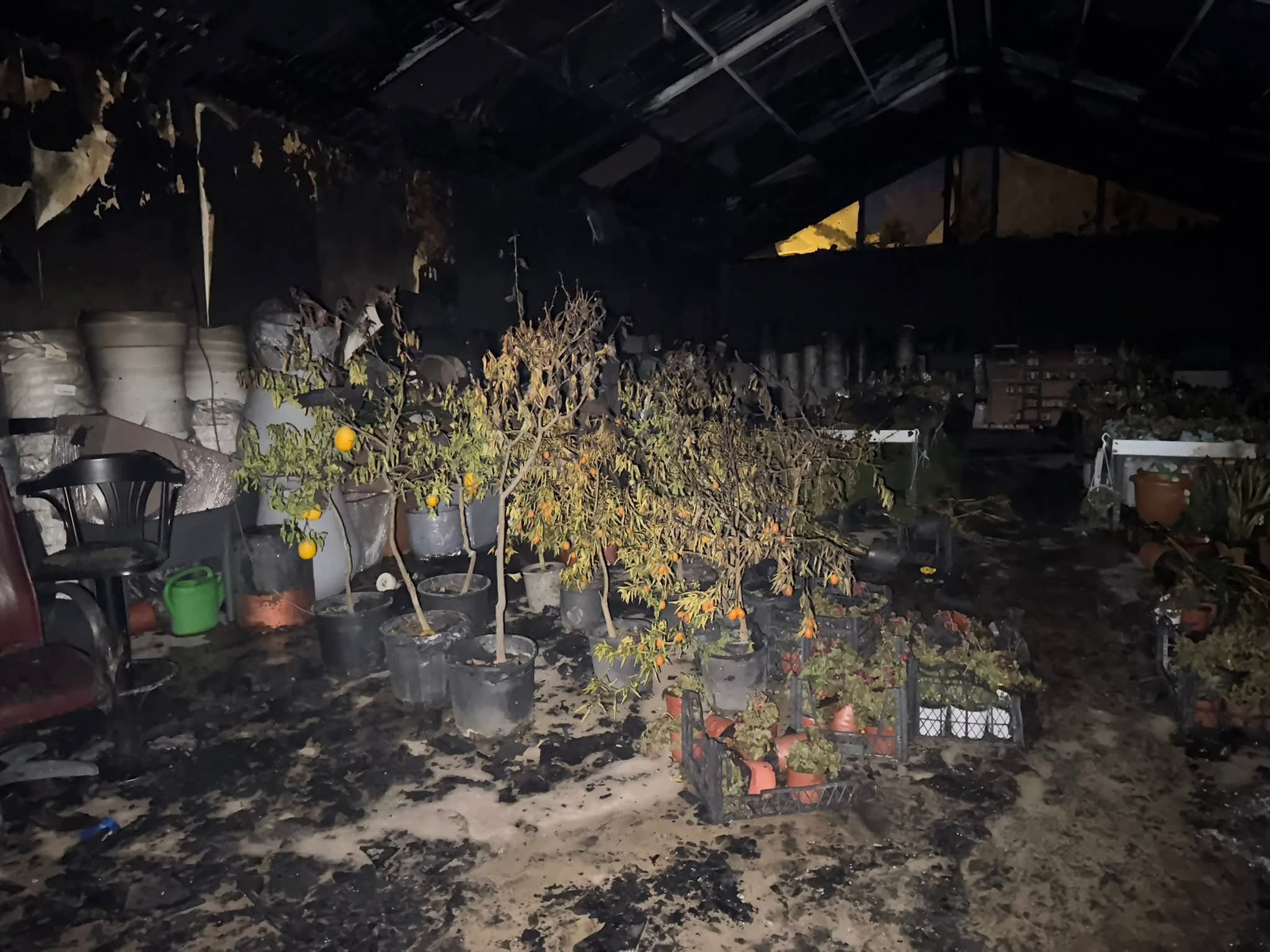 F B I M G 1748901338663