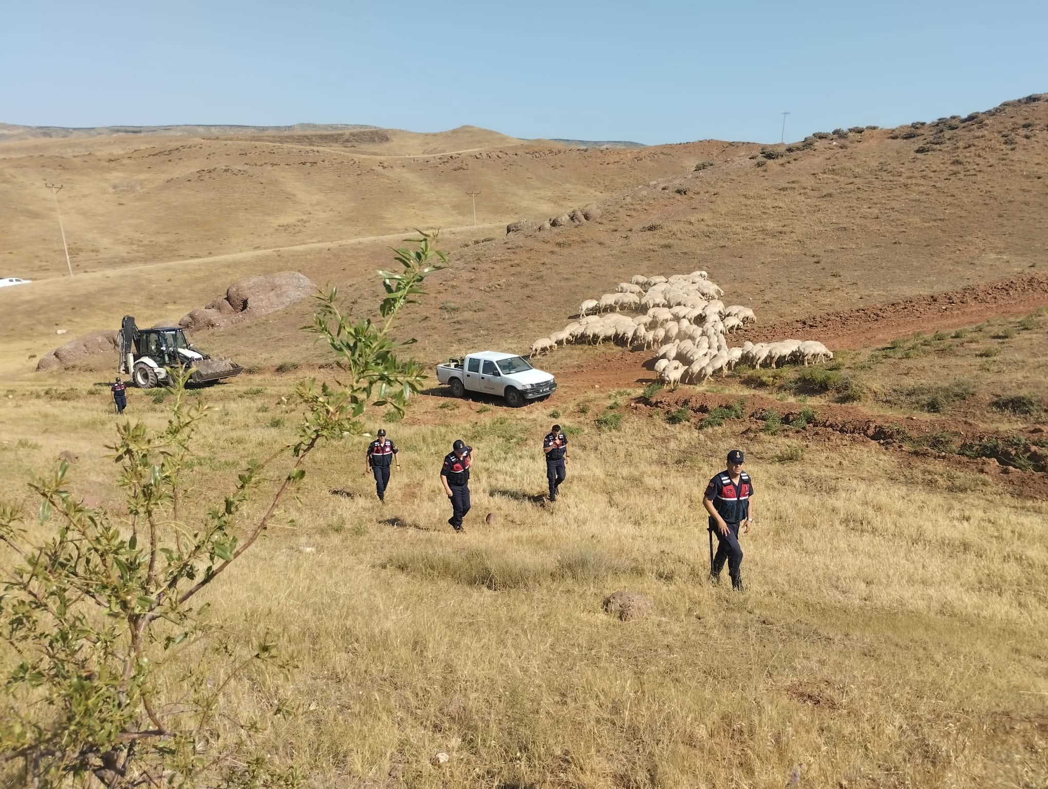 F B I M G 1750195937929