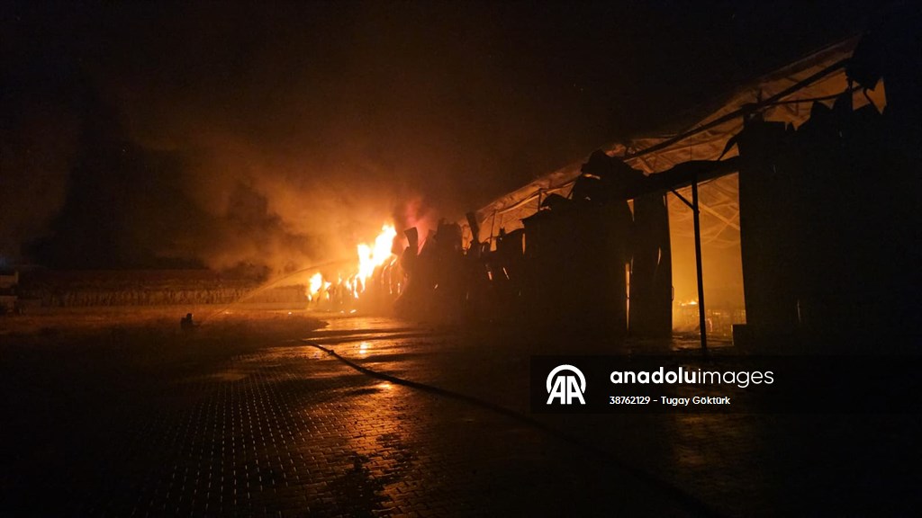 20250806 2 70252289 115805141 Preview