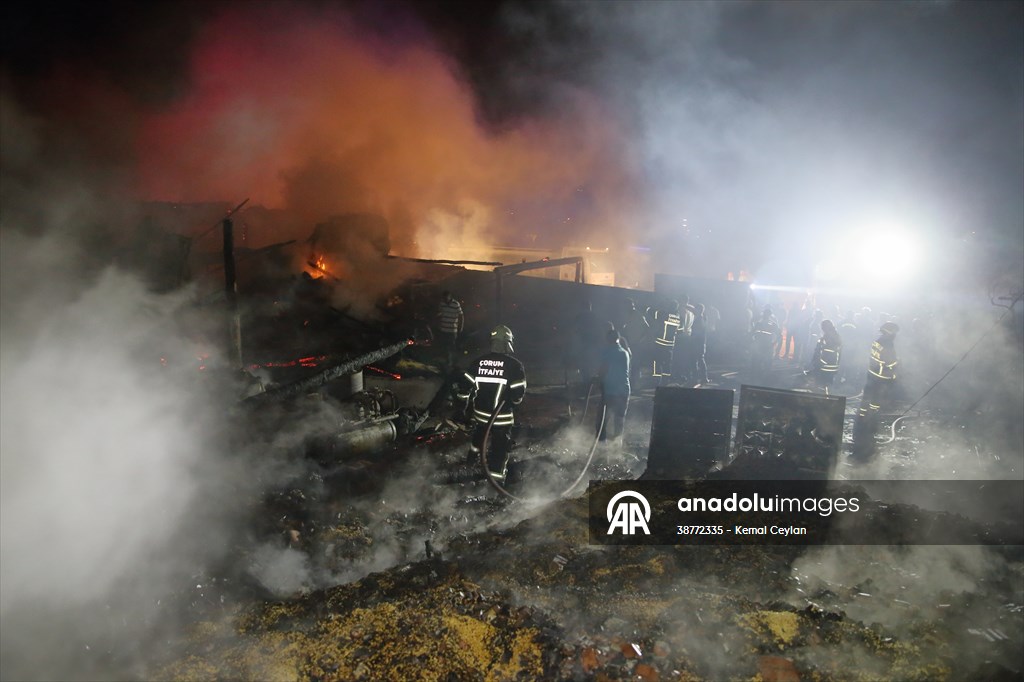 20250807 2 70268349 115839529 Preview