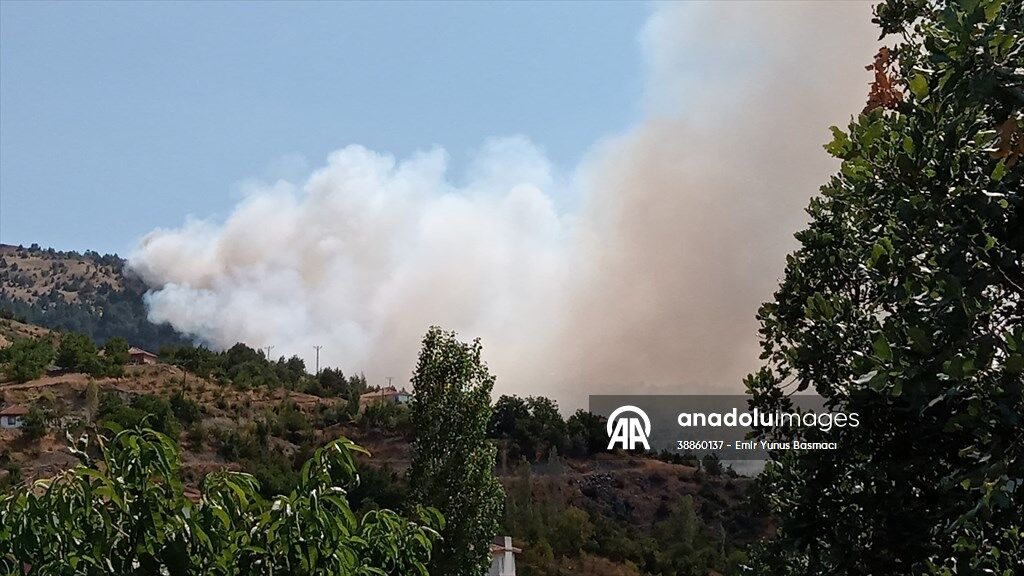 20250818 2 70401126 116143223 Preview