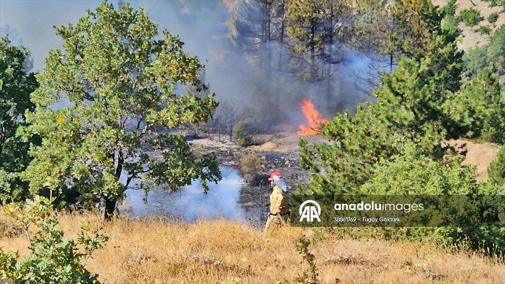 20250818 2 70402854 116148065 Preview