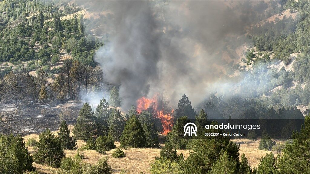 20250818 2 70403619 116149888 Preview