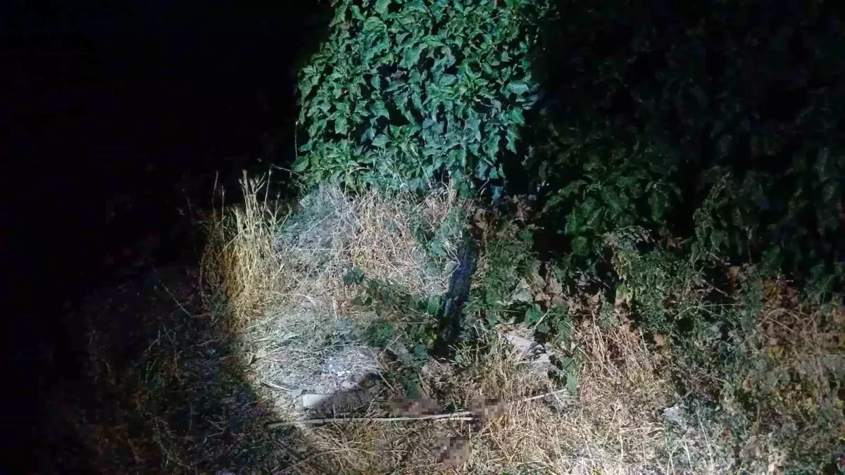 Corum Da Sokak Ortasinda Silahli Saldiriya Ug 18937732 Amp