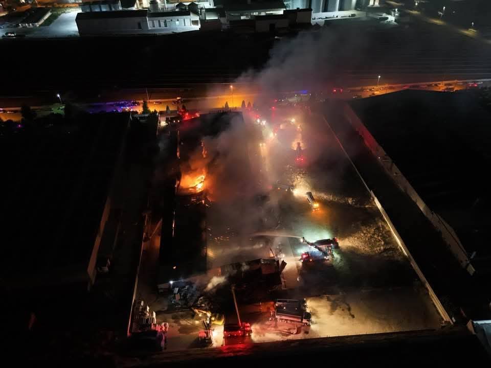 F B I M G 1754532010017