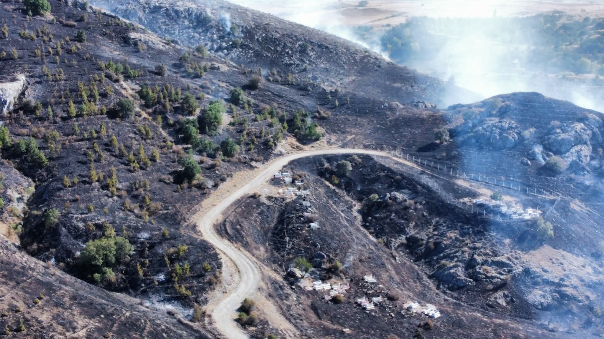 F B I M G 1755205293550