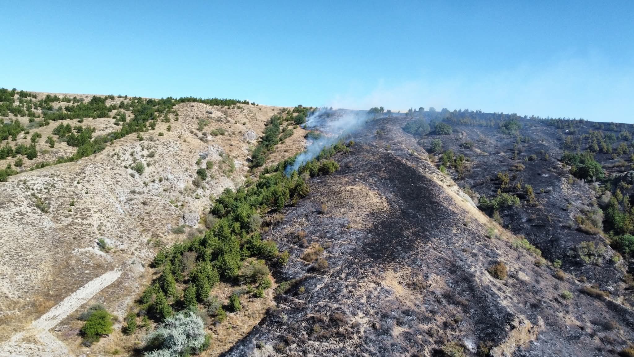 F B I M G 1755205296869