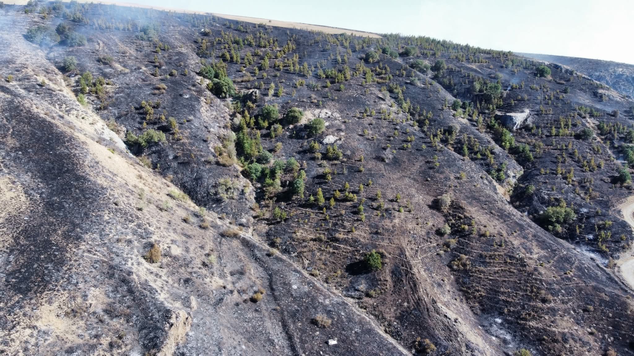 F B I M G 1755205299249