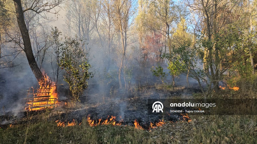 20251007 2 71106698 117850367 Preview