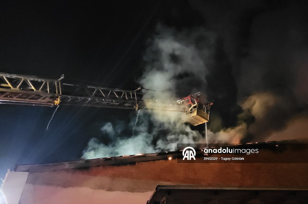 20251014 2 71209878 118100533 Preview