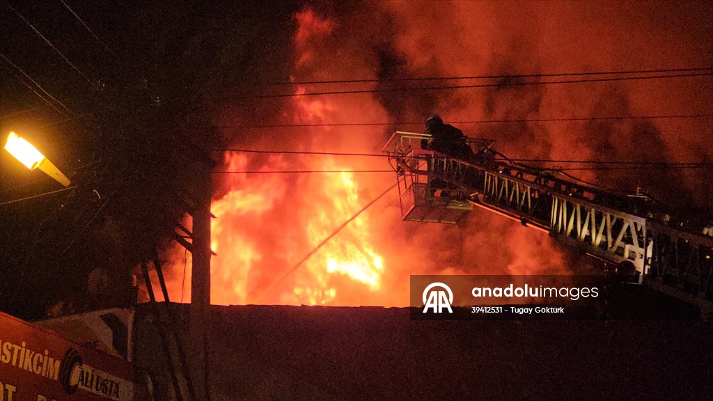 20251014 2 71209878 118100536 Preview