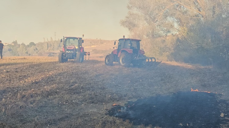 A A 20251007 39340860 39340859 C O R U M D A C I K A N Y A N G I N I N D A 620 D O N U M A L A N Z A R A R G O R D U