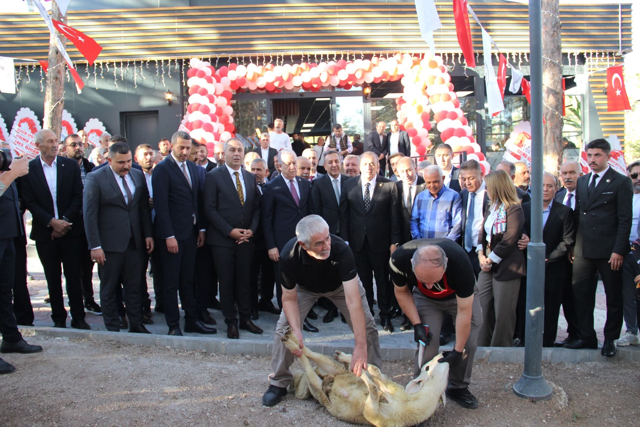 F B I M G 1759526145219