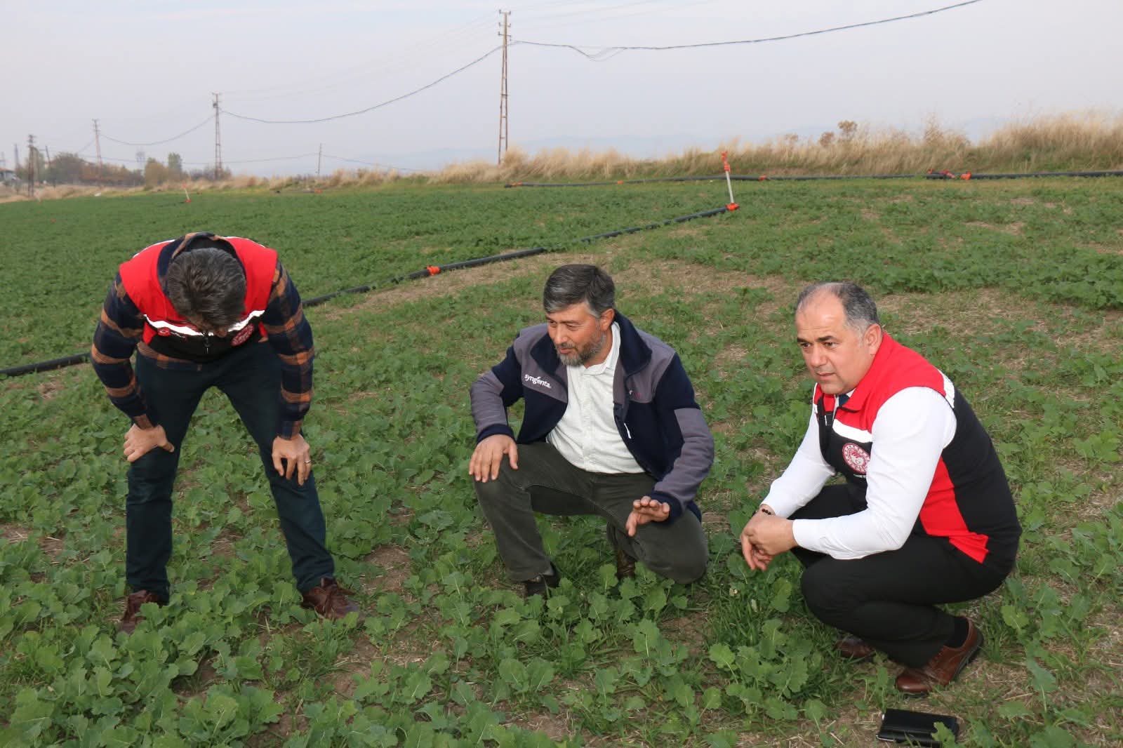 F B I M G 1762664561020