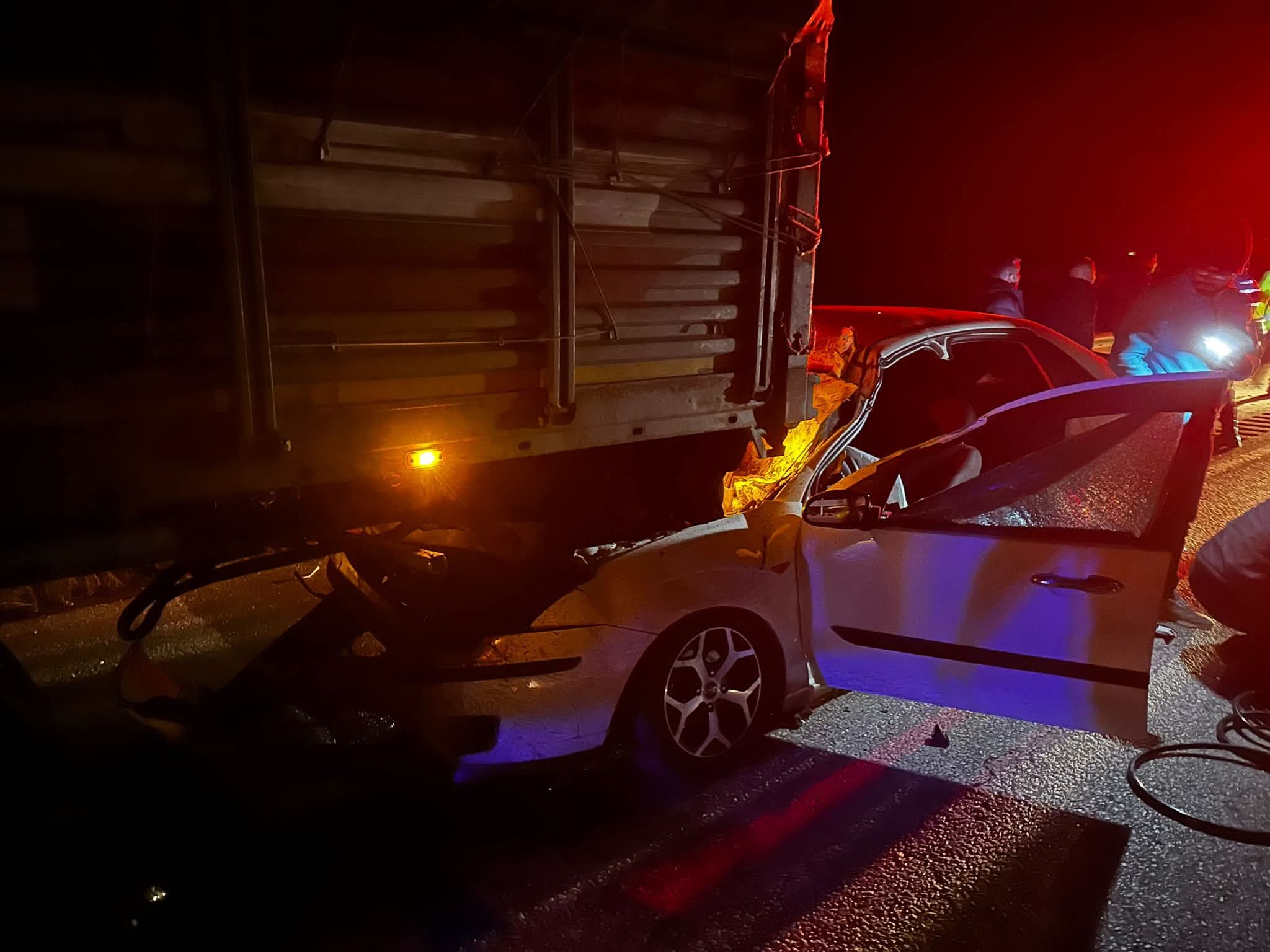 F B I M G 1765859793531