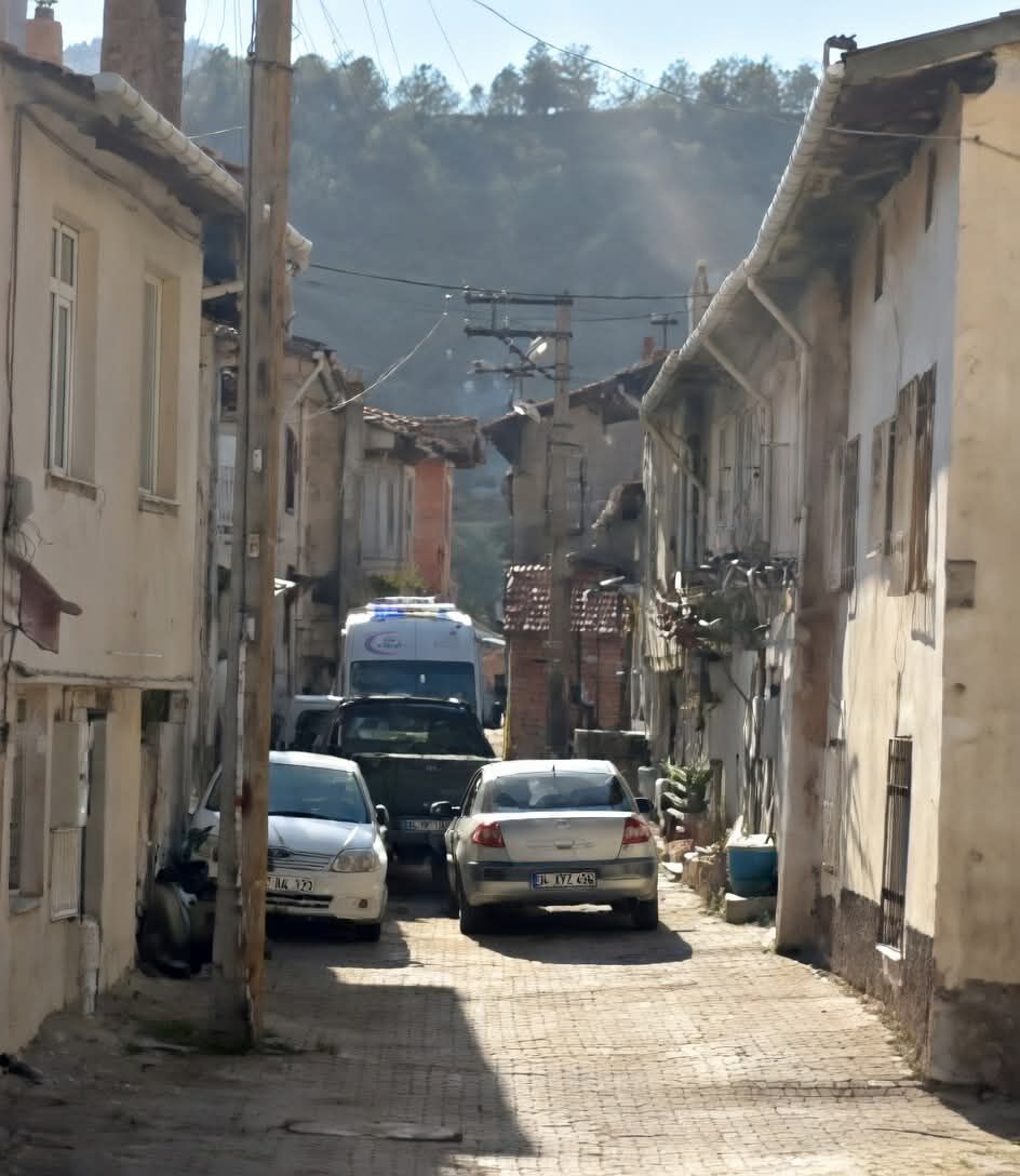 F B I M G 1773772046958