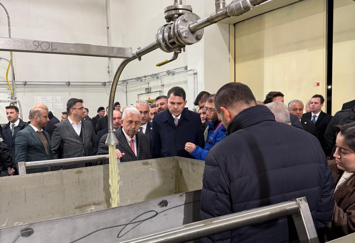 I M G 20260411 W A0025