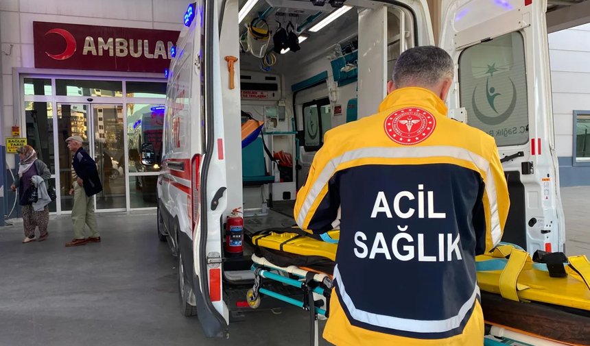 Yediği mantardan hastanelik oldu