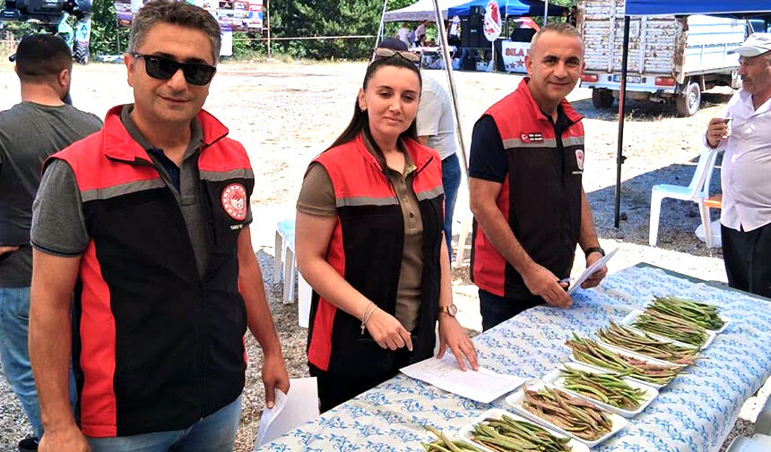 Çorum'un bu köyünde en iyi fasulyeler yarıştı