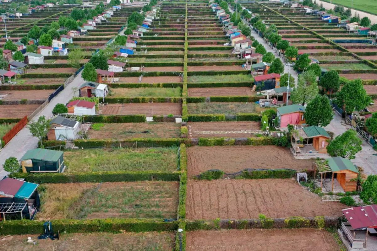 Hobi bahçeleri ve Bungalovlar için karar verildi