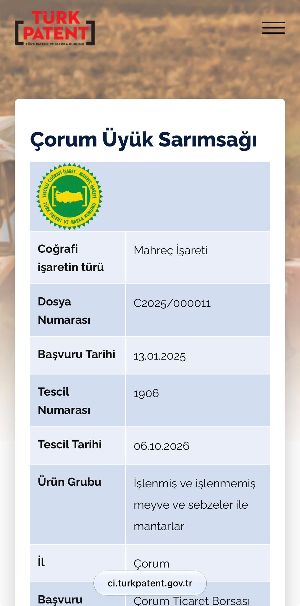 I M G 20261015 W A0039
