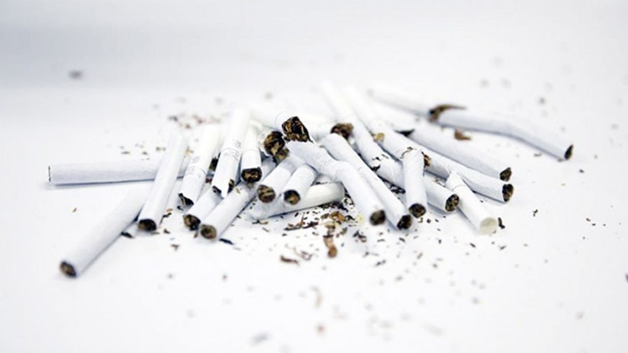 Tütün kullanımı önlenebilir ölüm nedenleri arasında ilk sırada
