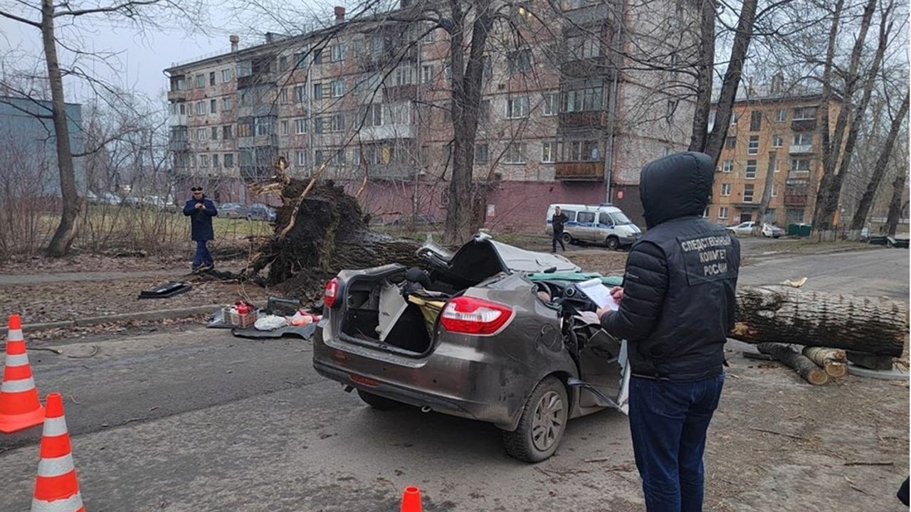 Aracın üzerine ağaç devrildi: 2 ölü