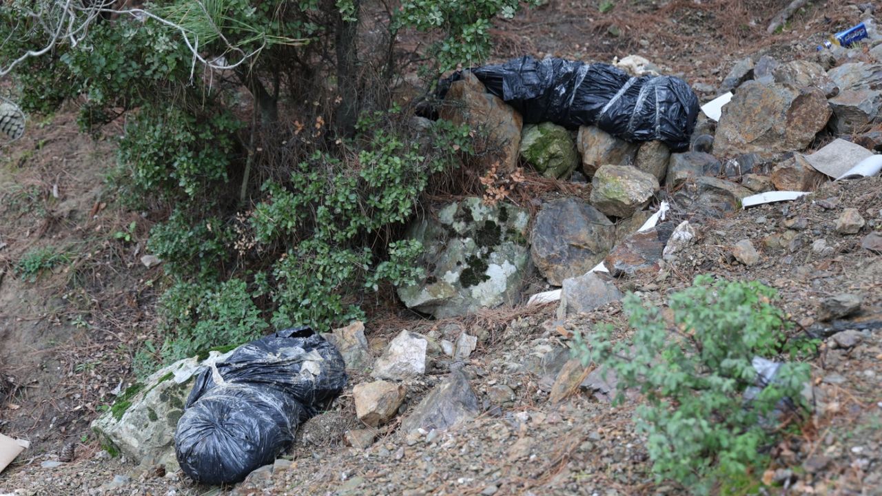 Çöp poşetleri içerisinde köpek ölüleri bulundu
