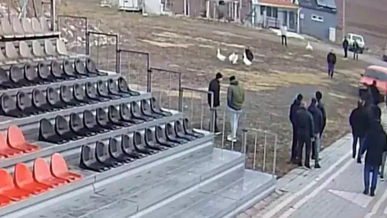 Çorum'da ’kaz dövüşü’ baskını: 70 kişiye ceza