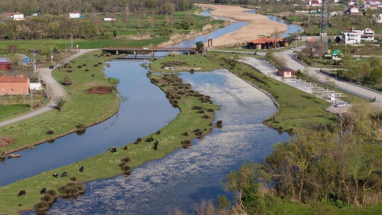 Çorumlular Samsun'daki bu yere hayran kaldı
