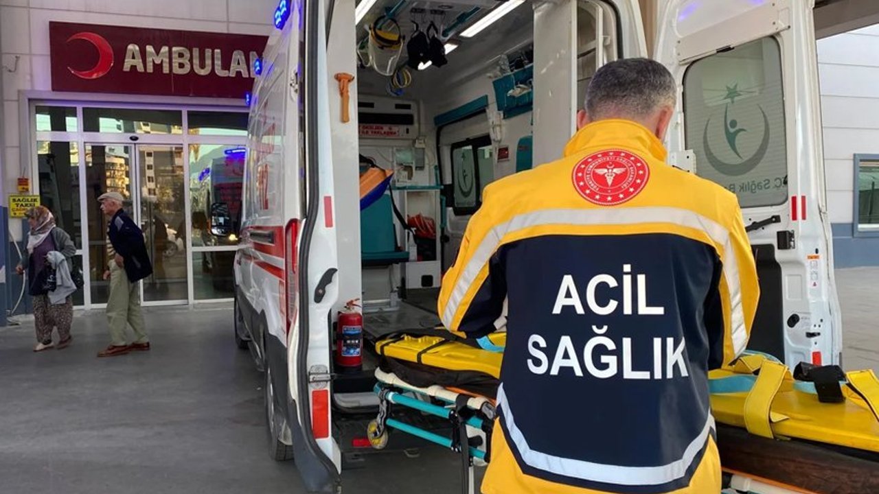 Yediği mantardan hastanelik oldu