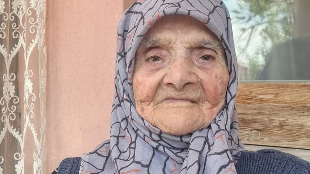 Asırlık çınar hayatını kaybetti