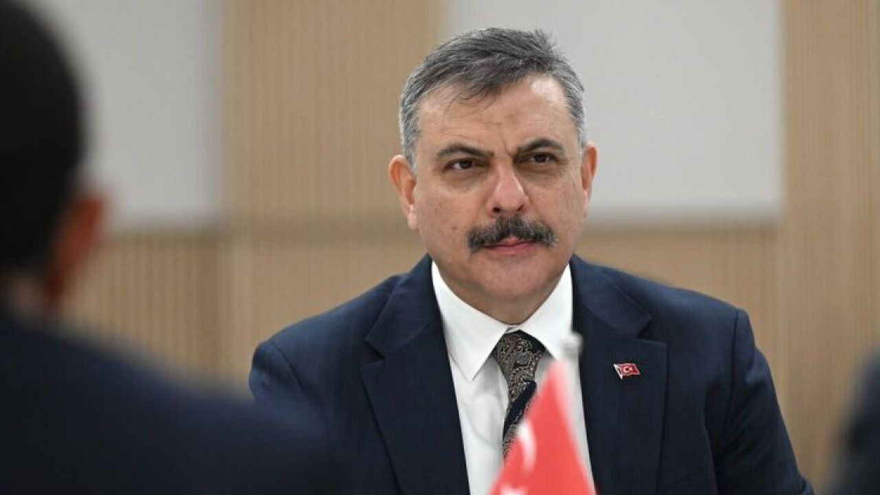 Türkiye'deki sokak hayvanlarının yüzde 99,7'sinin toplandı