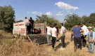 Çorum'da 20 büyükbaş zehirlendi, 5'i kesildi