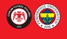 Çorum FK-Fenerbahçe maçının günü ve saati belli oldu