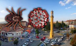 Çorum’da kovid bitti, kene başladı