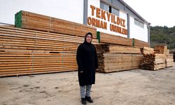 Çorum'da girişimci kadın kereste fabrikası kurdu