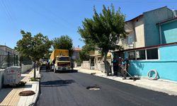 Beytepe Cadde ve Sokaklar asfaltlanıyor